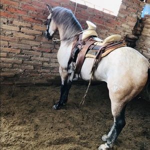 Meet your Posher, Sergio